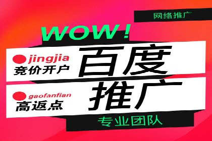 SEM服务公司经典案例集锦